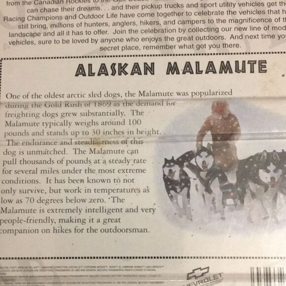 Racing champions truck - Picture 4 of 5